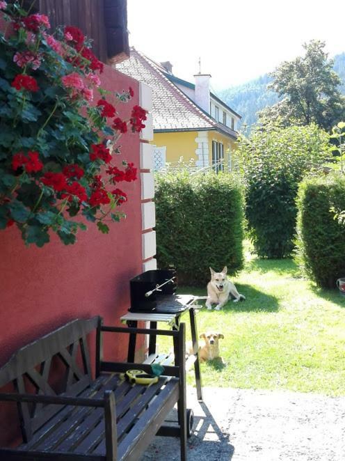 La Vecchia Mesnerhaus Villa Pusterwald Ngoại thất bức ảnh